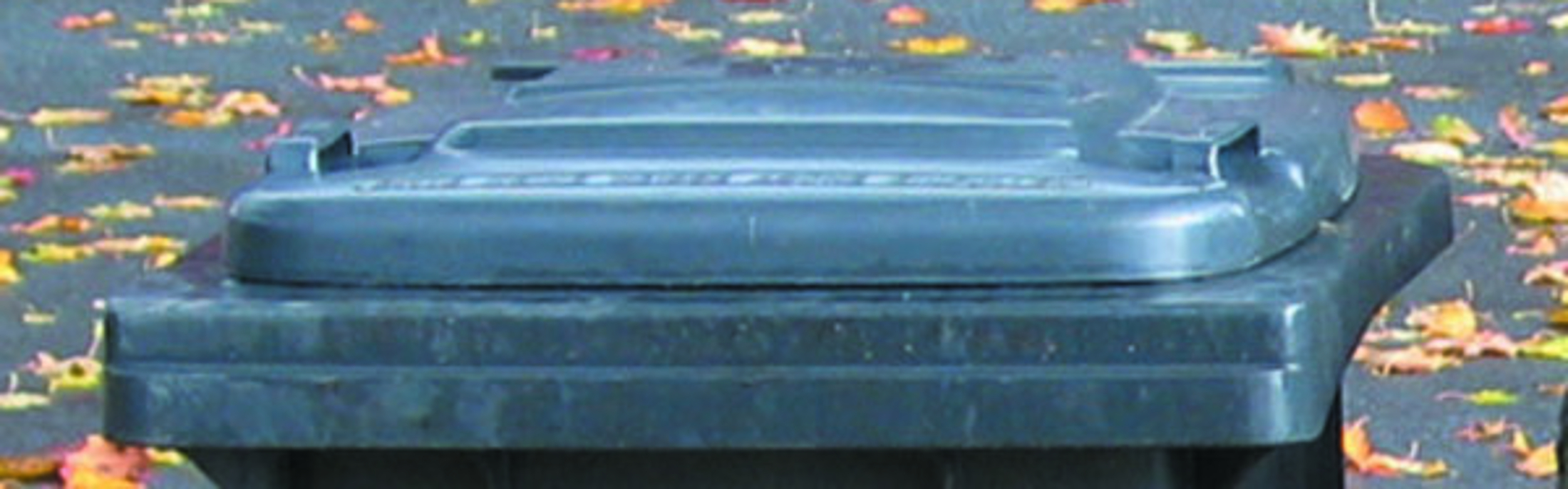 Restmülltonne