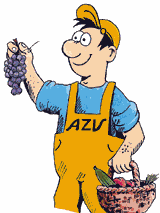 Joe Cycle beim Einkaufen