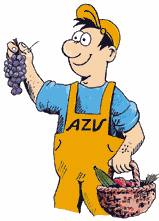 Joe Cycle beim Einkaufen