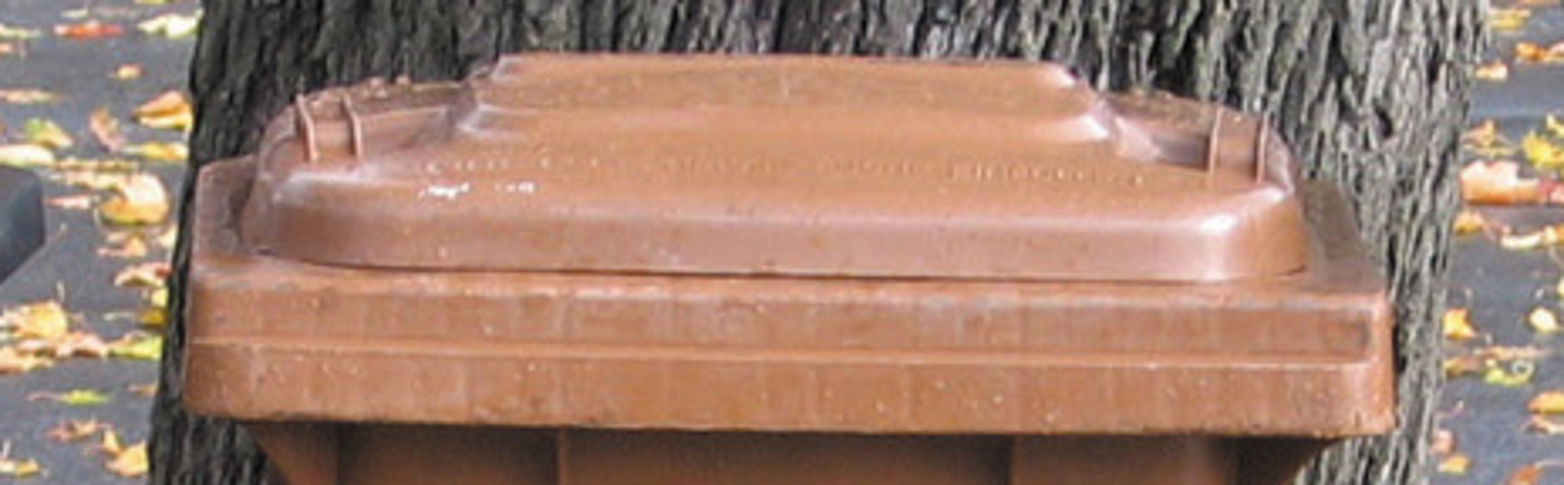 Restmüll, Biomüll, Papiermüll