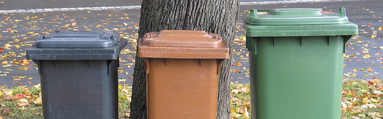 Restmüll-Bioabfall-Altpapier-Tonnen-nebeneinander