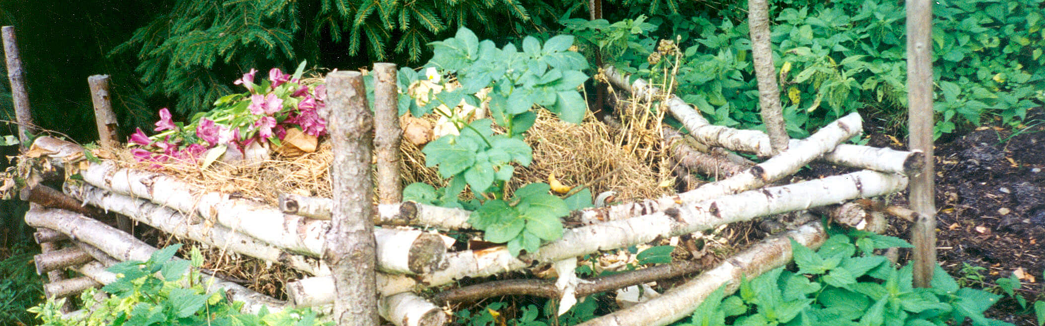 Komposthaufen im Garten