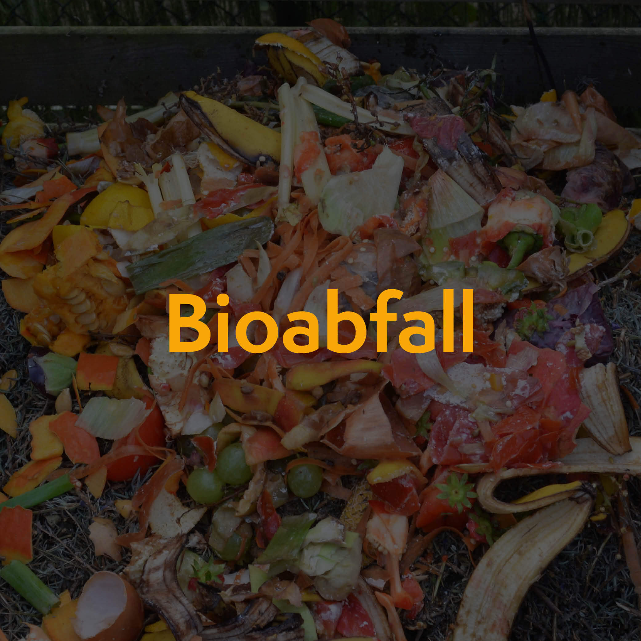 Thumbnail Biobabfall