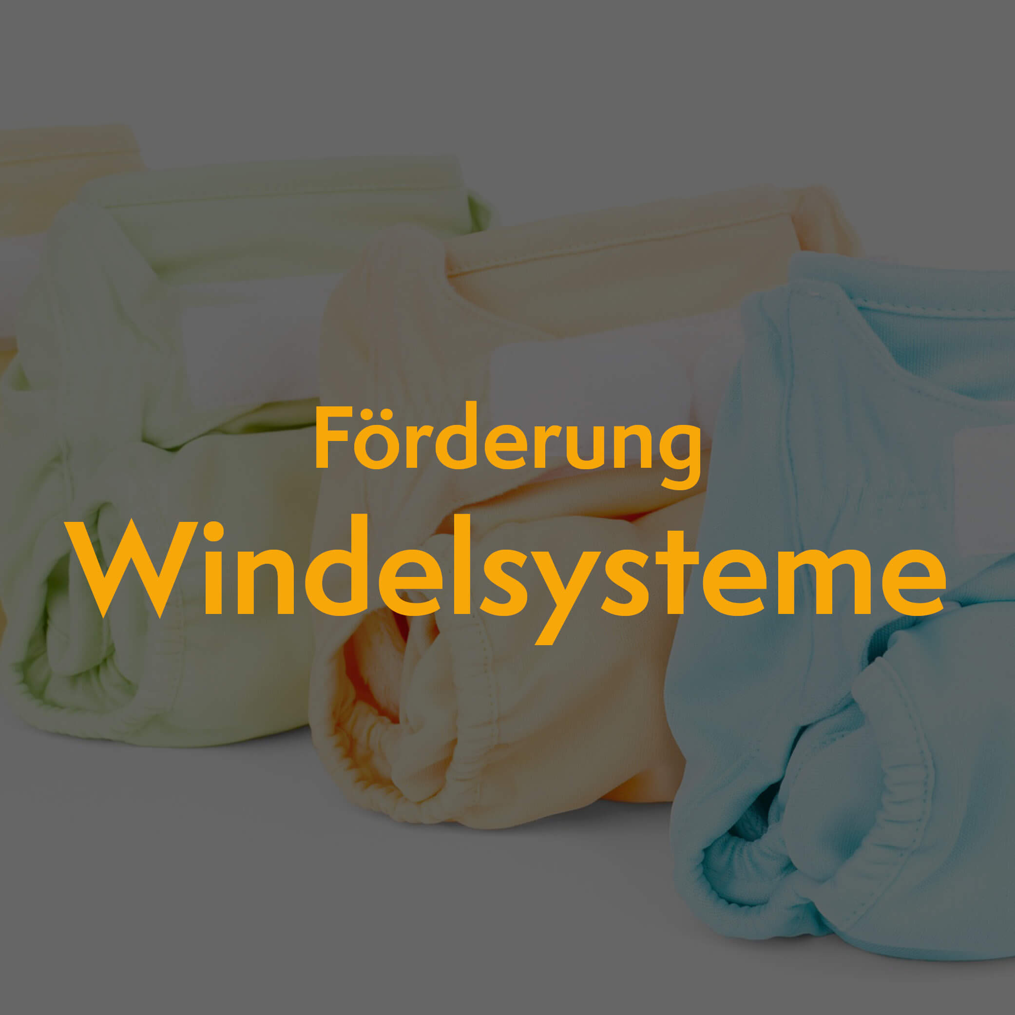 Thumbnail: Förderung Merhwegwindeln