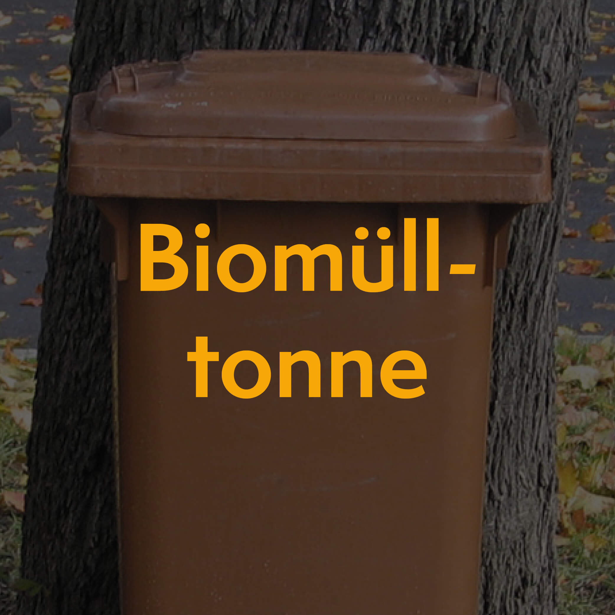 Thumbnail Biomülltonne