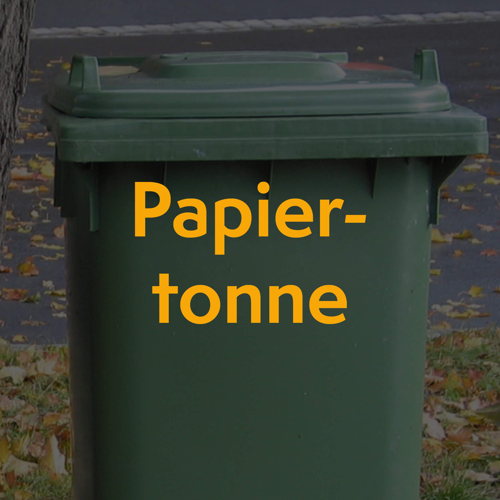 Thumbnail_Papiertonne